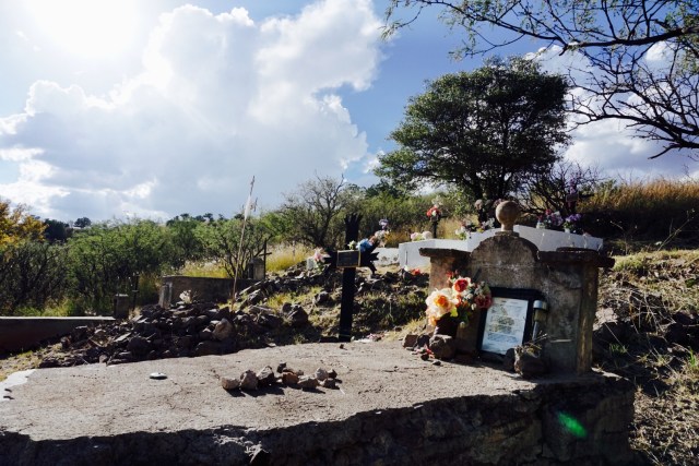 2941f265-22ec-46a8-acf3-08d6adad626c