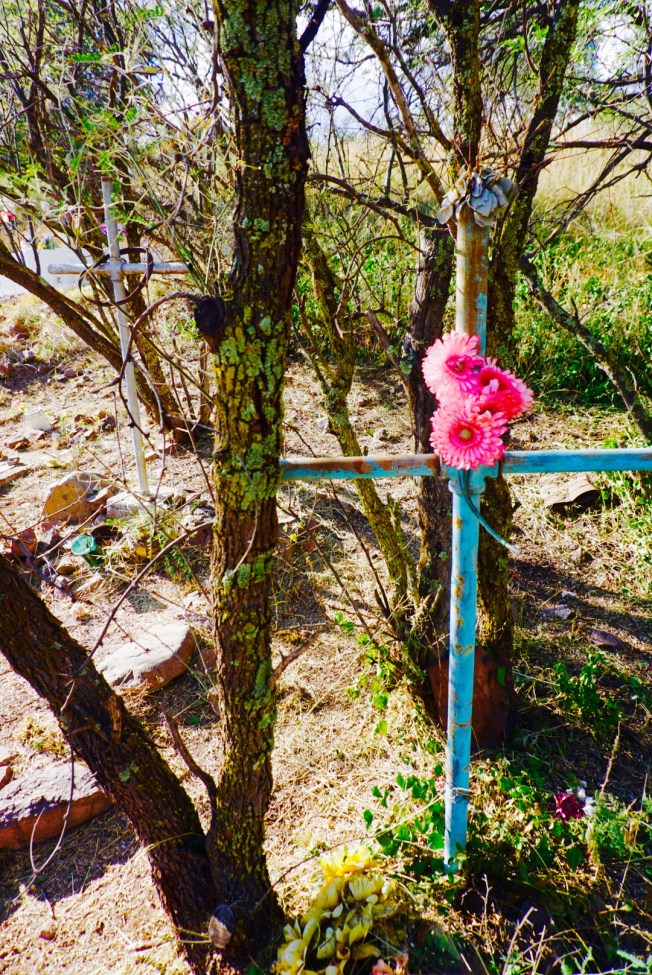 54f7ad4d-be6d-4159-9de1-0e1ff9ae6769