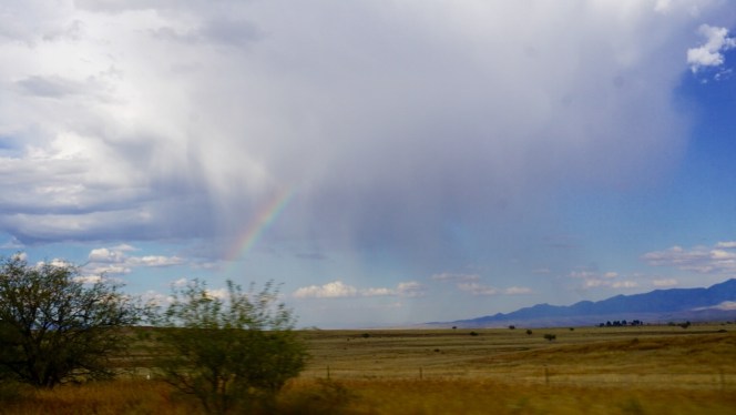 5742fb6e-b35c-463d-a723-86366424fee2