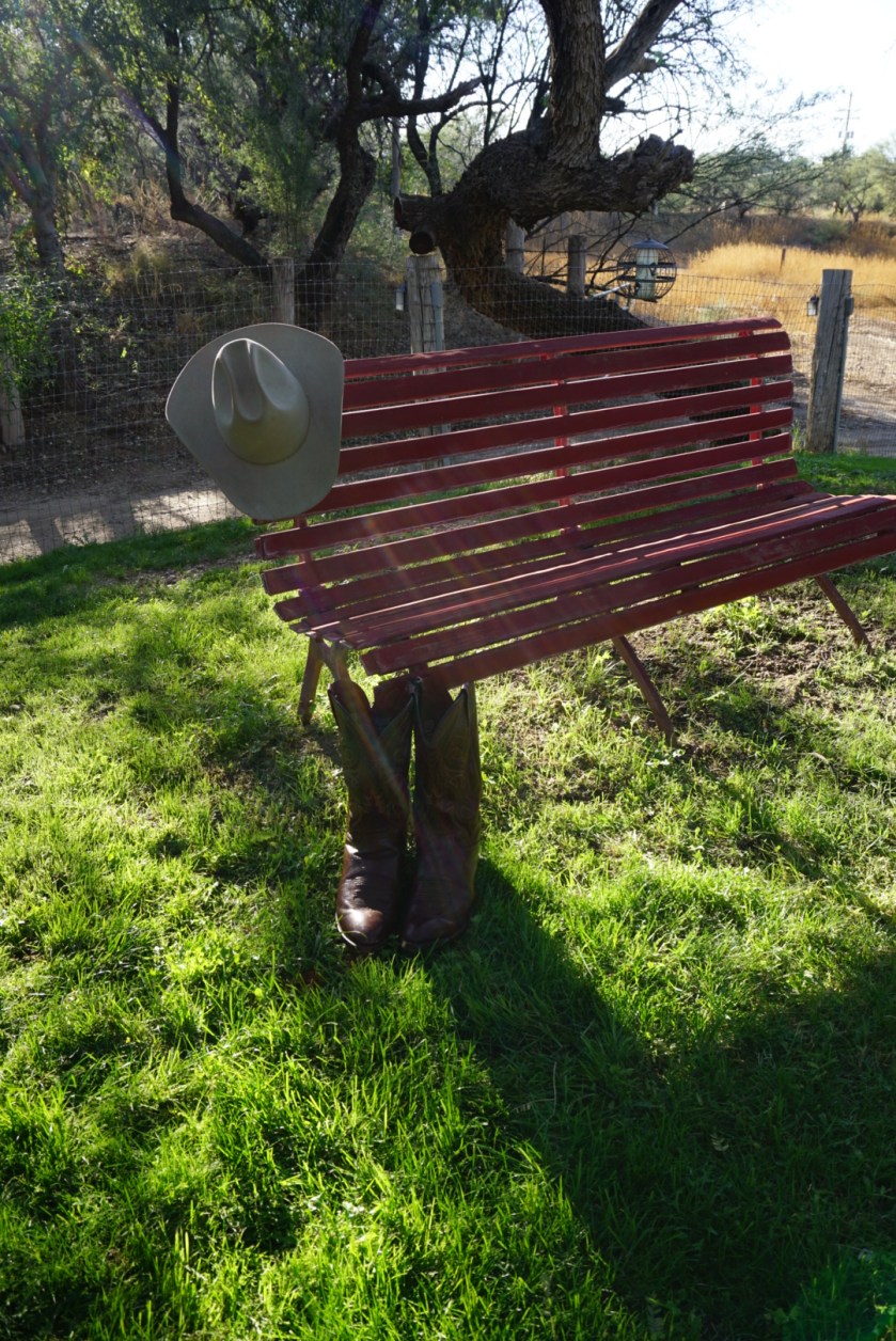 248f926e-e1ed-43c1-8ca1-bd032263fa9e