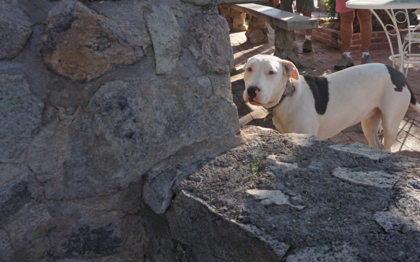 2c3bbf7d-b636-4401-989e-8786dab4a1e0