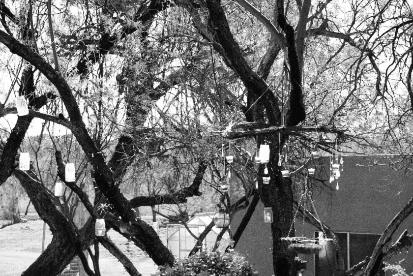 38c380ec-38f6-4358-b545-12c1d67fa1f7