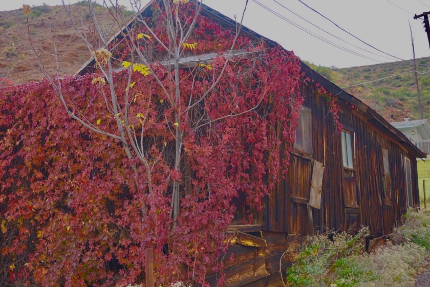 50087a98-d1cd-4925-81c2-e2e10f296ef2