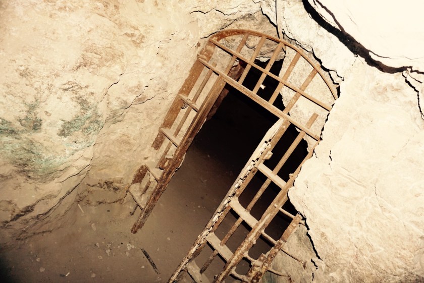 57edf8f3-5574-4d7b-bbef-00b6bbd7dbf4