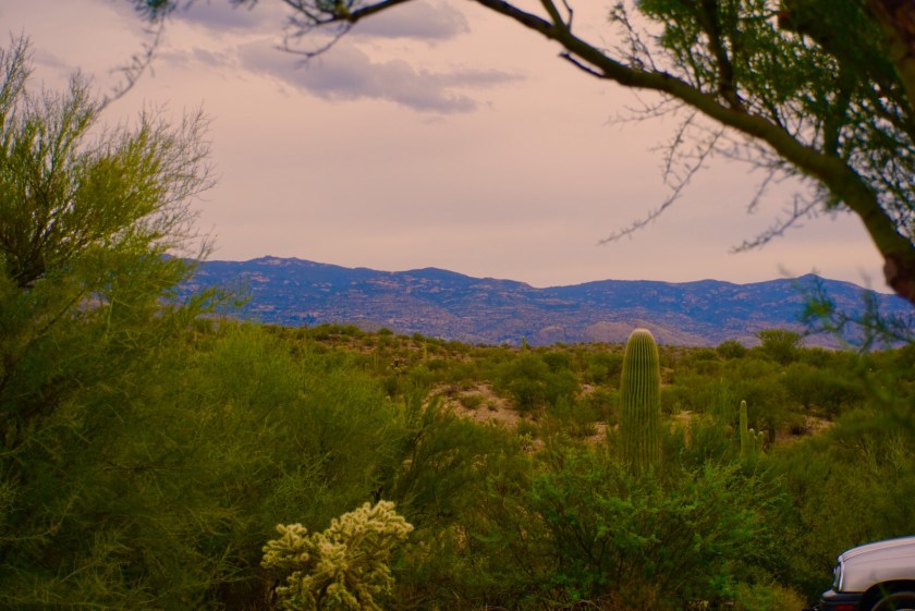 5e8e7c6d-3b19-4b4e-a2c2-670fc4be5eba