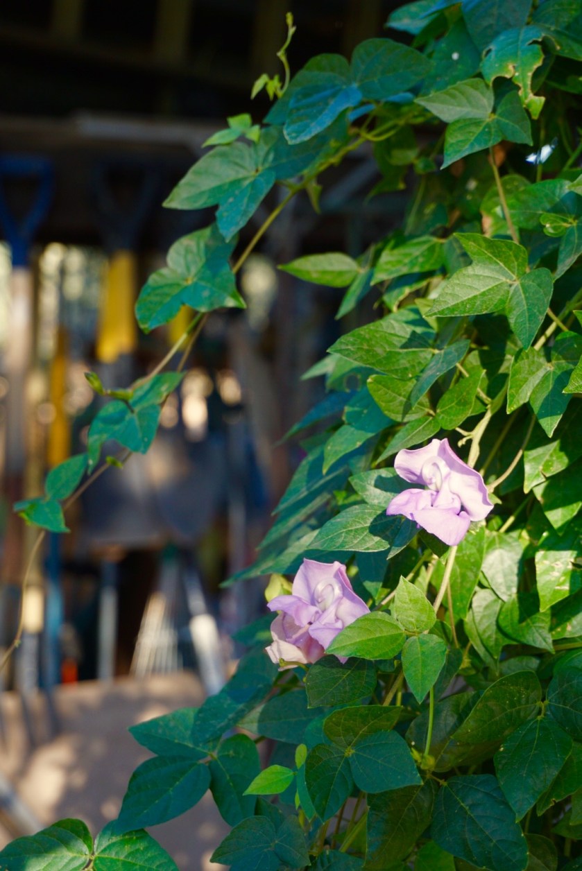 65991081-00a3-4d55-829a-ba784ad7bb64