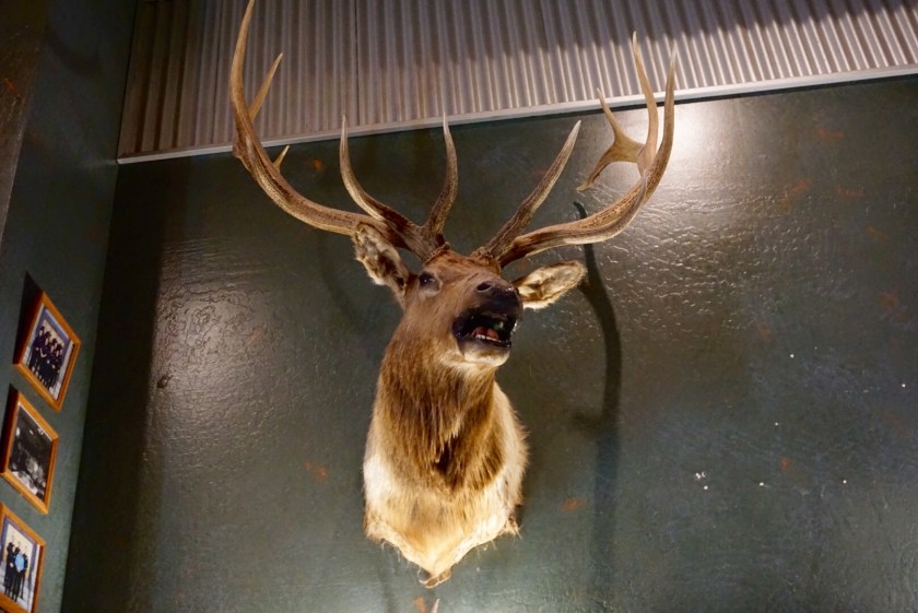 709a9435-57df-465f-befa-d024c24d8c0f