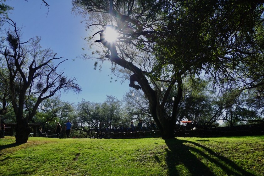 7bf3fb66-32bd-43d3-8d47-88fe92f7f287