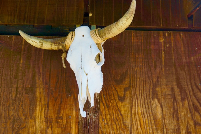 b21b65f2-afa7-4cc9-8410-c3023349b0a2