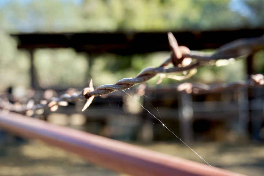 b2668bf7-a6c7-4b2a-9f40-7258554910ad