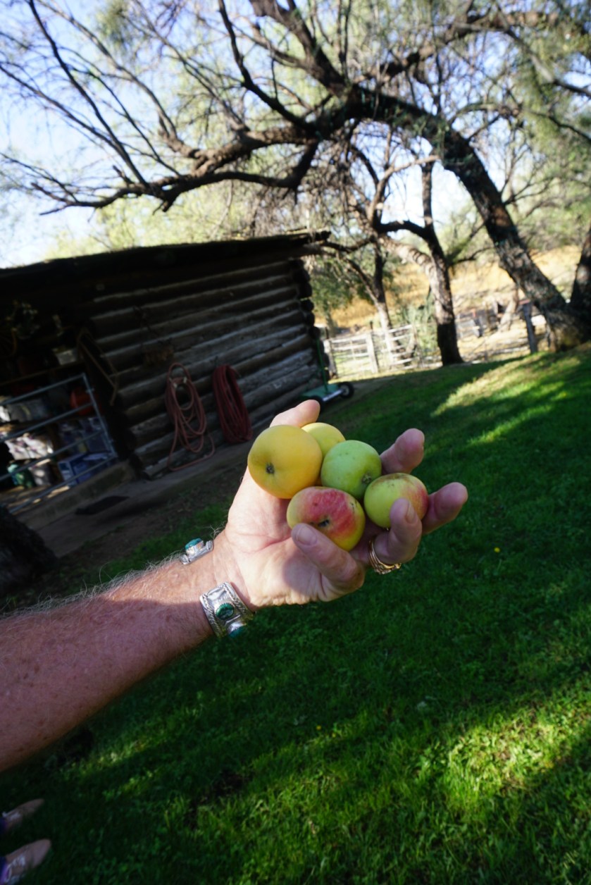 d0e0628d-f046-4bdf-a219-04883a7e3a40