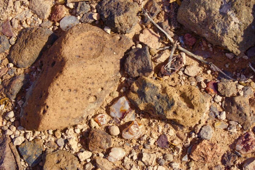 d45ec58f-de10-41bd-9436-9aec9e4e7591