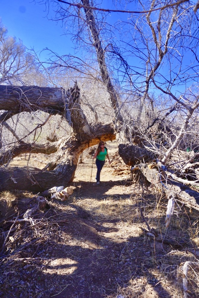 04851eb0-6d26-4118-9f1a-e8dd22959491