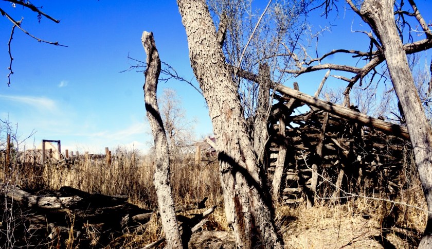 8119688f-35ca-494a-94c1-956a59dd2414