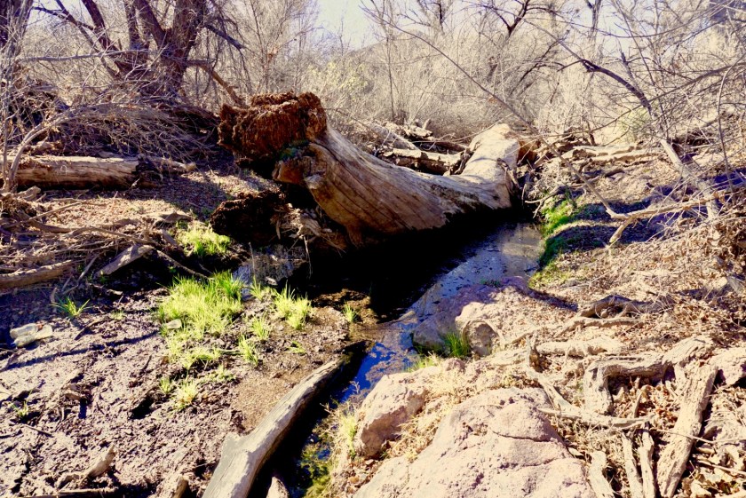 b0e1312f-ee26-43b7-8d45-0766874b7eb4