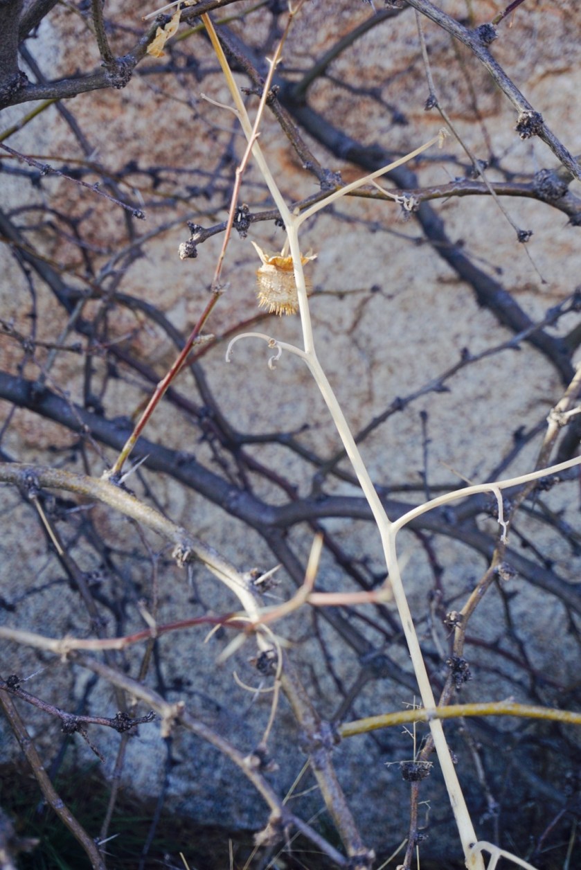 7651e4c7-dbd7-486f-9b3d-620c9a5e9d8d