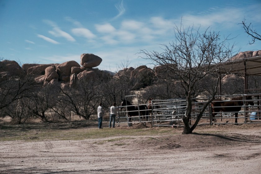 cda55b91-a7c3-4a57-be86-2f155f1bbfd9