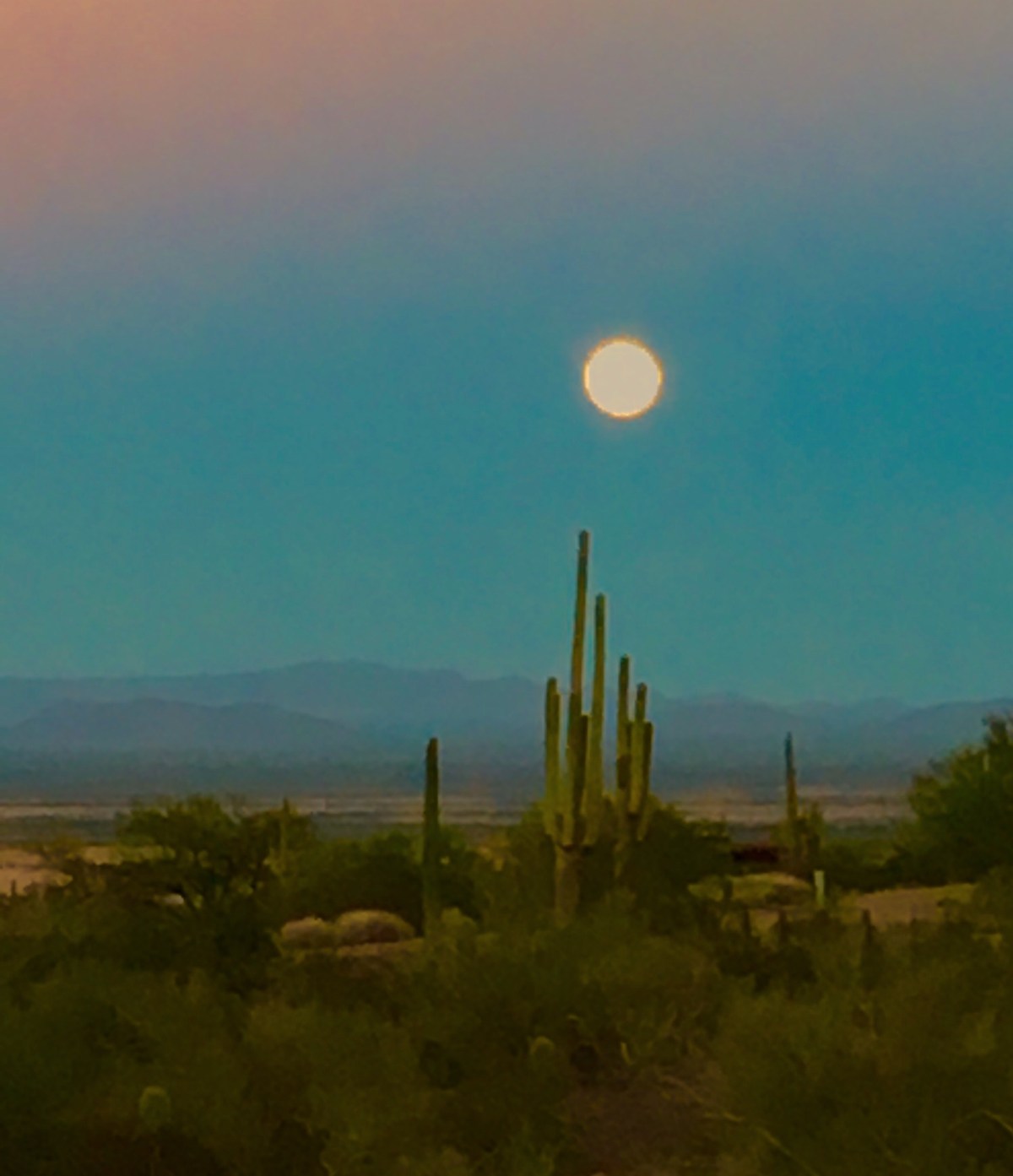 So Much Better In&nbsp;Leather