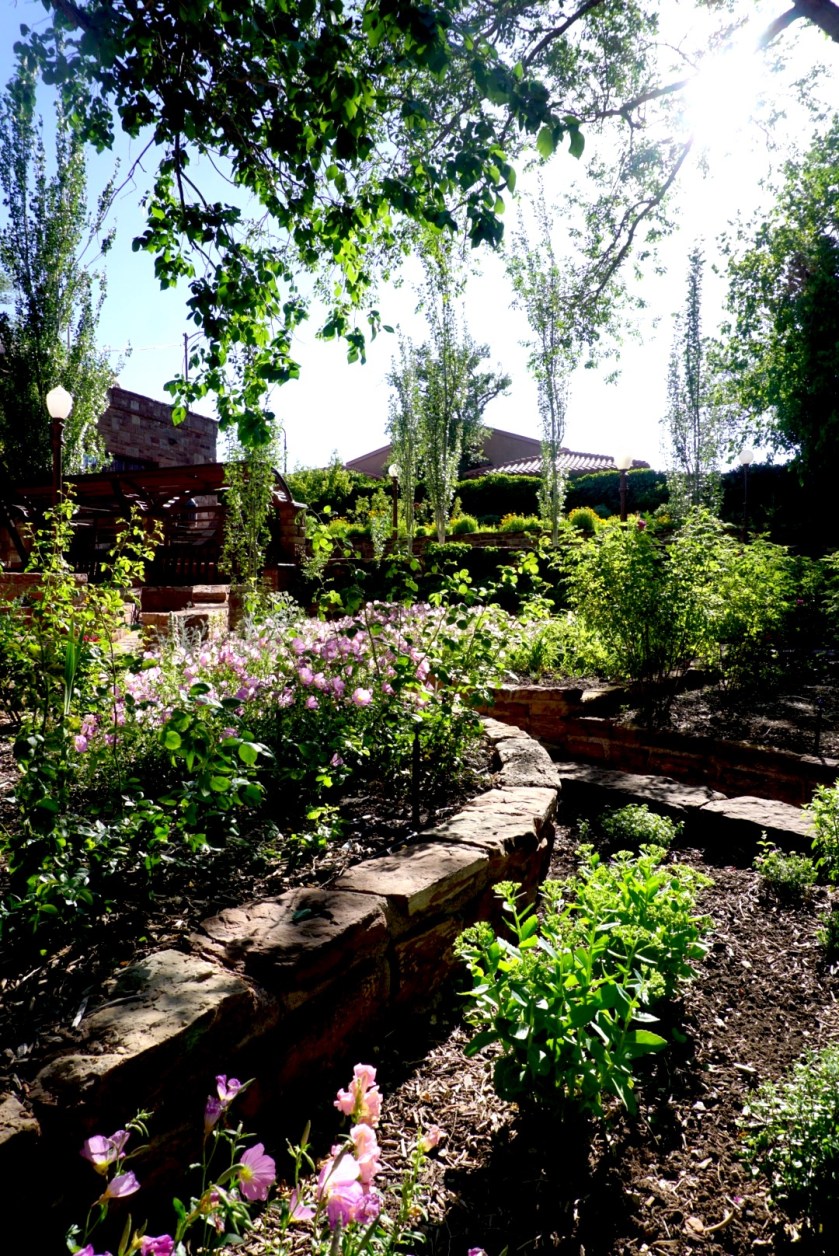 7BC0DB29-15CE-4284-8538-06289EACFBA4