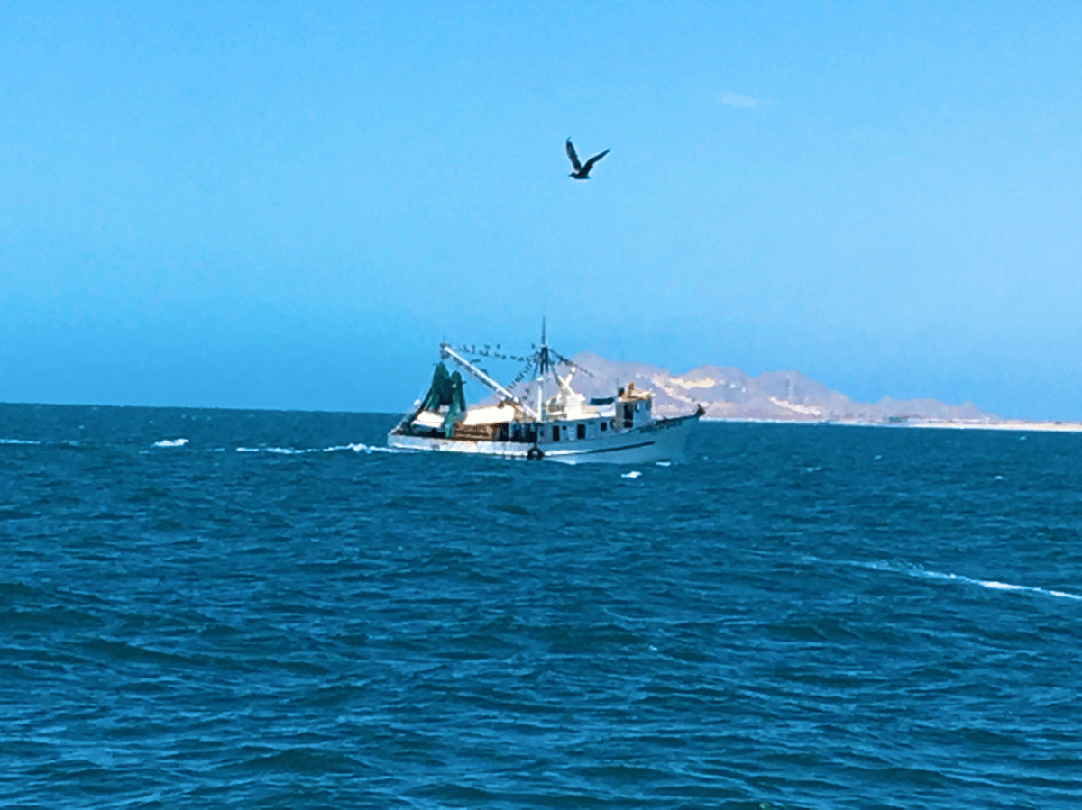 Sand Between My&nbsp;Toes