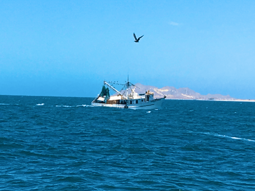 2017-08-18_15-06-49_504