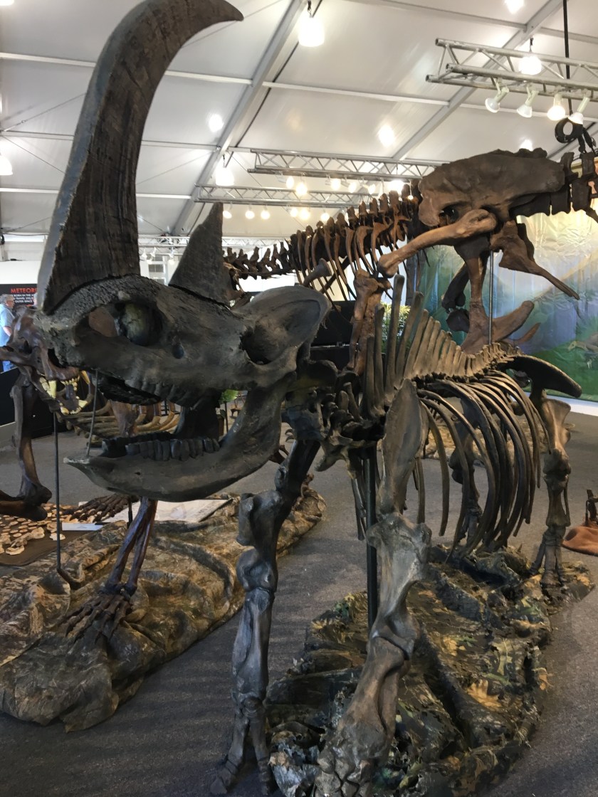 2018-01-28_11-02-37_627