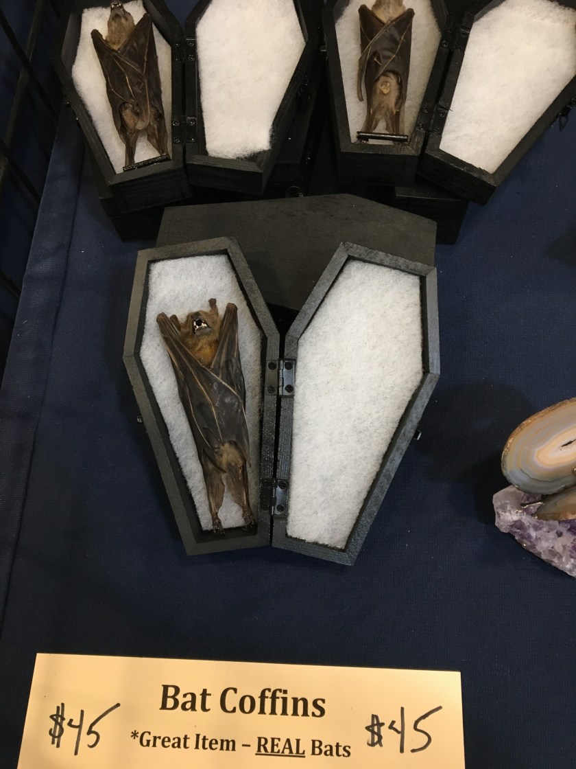 2018-01-28_11-51-01_388