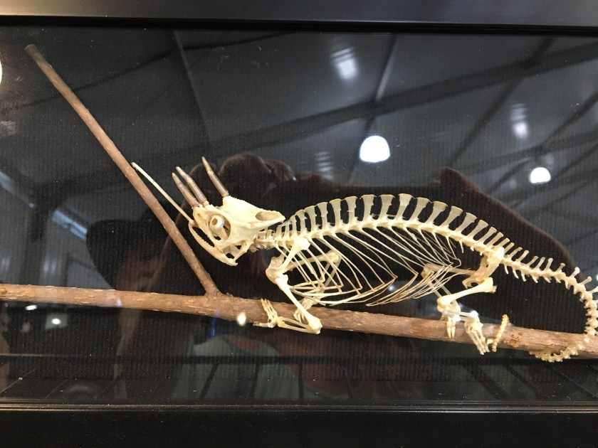 2018-01-28_11-51-33_253