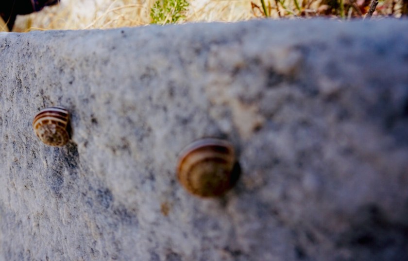 2019-06-18_01-41-04_000