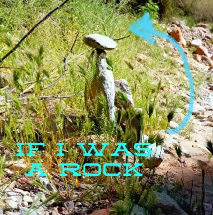 2019-04-07_19-53-33_000