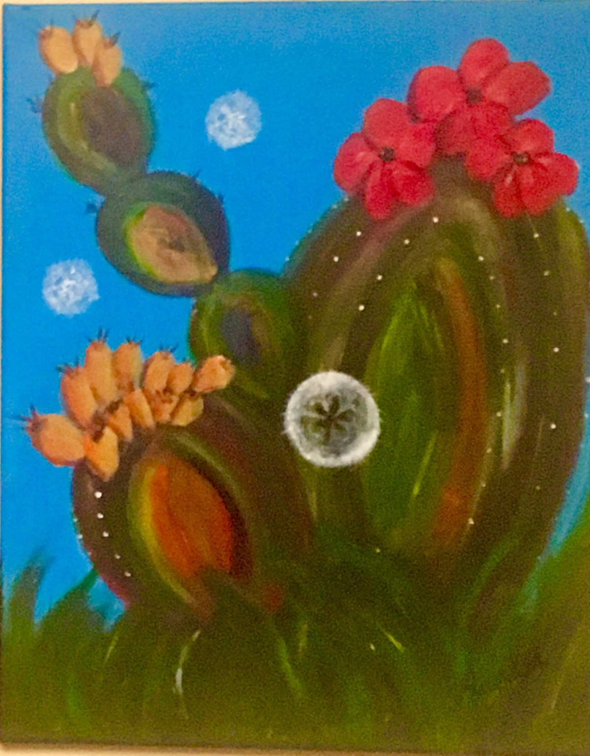 Ghost Burglar Break-In